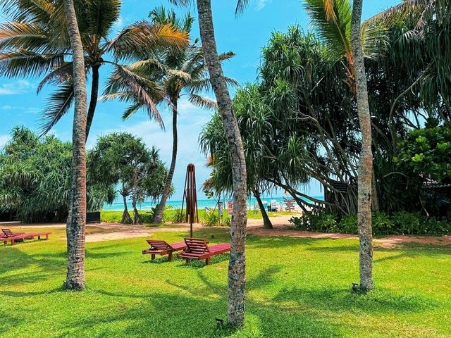 🌊 Surf's Up in Bentota