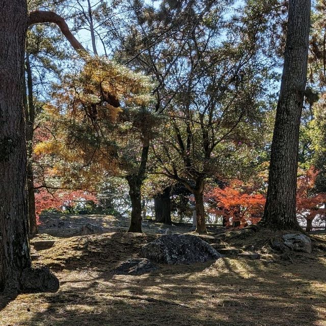 秋の奈良