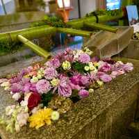 〜京都府〜混雑回避！夜の祇園を照らす八阪神社で夜詣