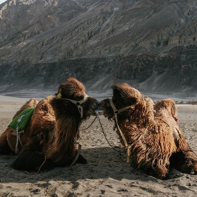 Leh Ladakh North India
