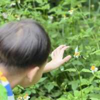 พาเที่ยวธรรมชาติน้ำตกปางสีดา ชมผีเสืัิอแสนสวย