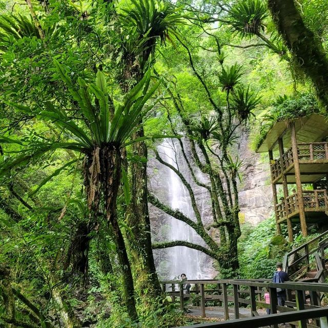 假日悠閒爬山