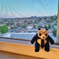 近環球影城嘅唐人酒店