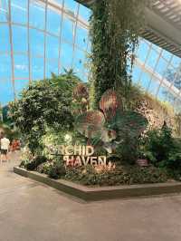 Gardens by the Bay: A Vertical Garden Wonderland
