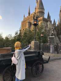Potterhead Paradise!
