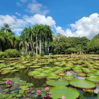 新加坡裕廊湖花園：熱帶仙境