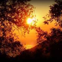 A Medival Summer