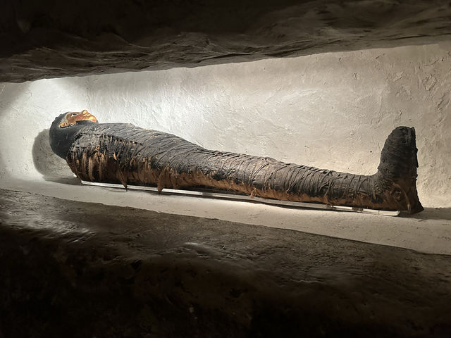 芝加哥的The Field Museum：古埃及文明展示，豐富知識和視覺享受