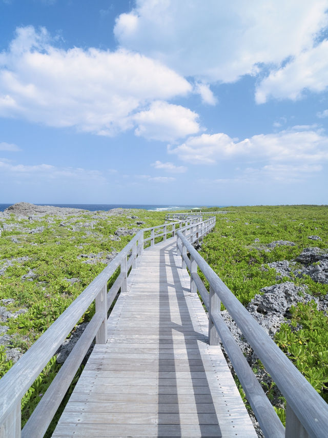 【沖縄】宮古島唯一の池の絶景