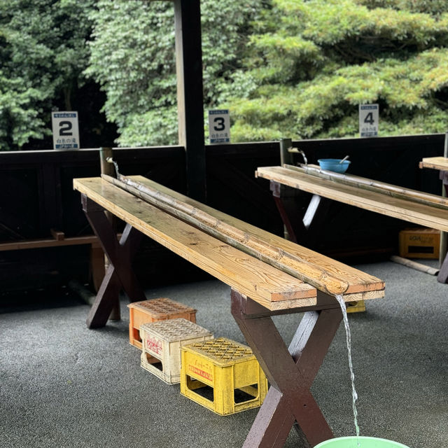 【福岡】白絲瀑布：夏季最佳時節，體驗流水素麵樂趣