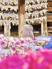 〜奈良県〜由緒あるお寺さん見られる紫陽花！絶景スポット