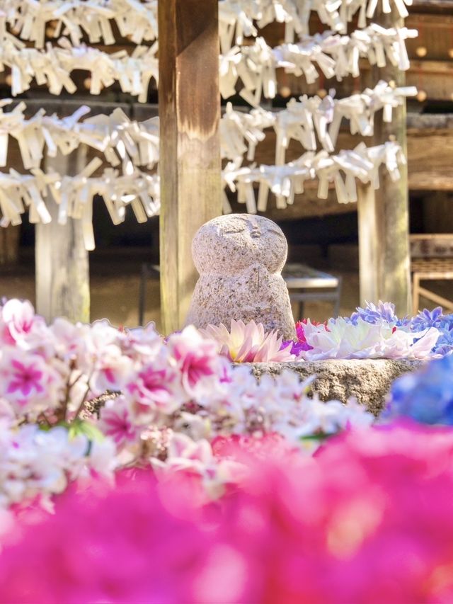 〜奈良県〜由緒あるお寺さん見られる紫陽花！絶景スポット