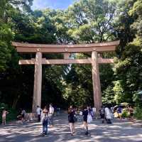 Discover Serenity at Meiji Jingu Shrine! 🌿⛩️