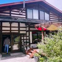 【長野県/茅野　森の中にいるような🌿オシャレなイタリアンレストラン🍽️】