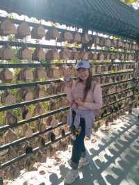 วัดดอยพระฌาณ  เมืองลำปาง