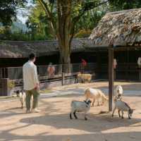 Alpacahill สรรค์ของคนรักสัตว์ที่ราชบุรี
