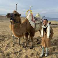 Splendid sand dunes with Camels in Tottori, Japan 🇯🇵 