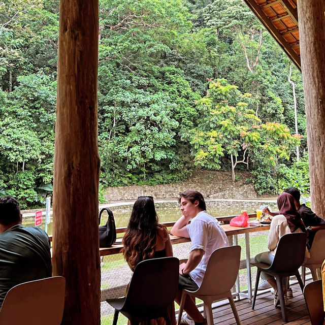 Pineyard Cafe in the Forest 🌳 Janda Baik 🇲🇾
