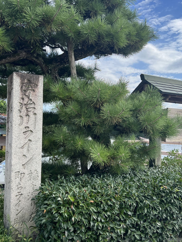 大阪出發一小時即到宇治😬體驗古色日本風‼️必行表參道🤪特色抹茶手信