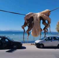 Aegina peacefull and beautiful island in greece