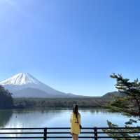 Stunning Mt.Fuji hotel view with cheap price