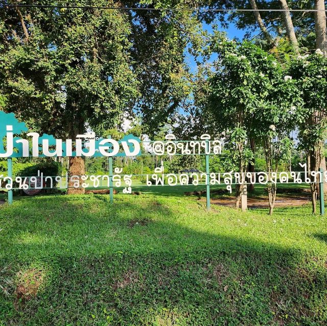 🌲สวนสนแม่แตง เชียงใหม่