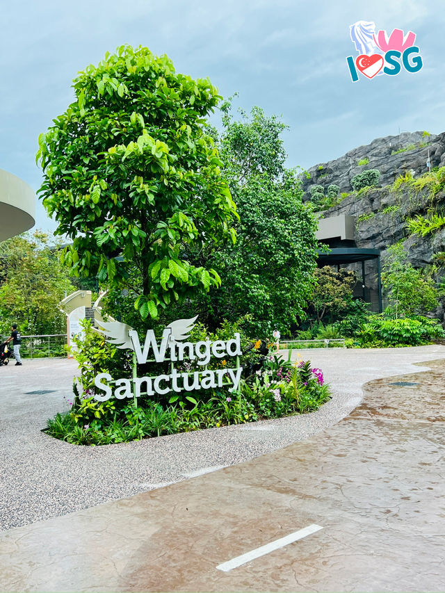 🇸🇬 Winged Sanctuary
