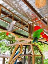 Nature and Family Fun at Bentong Farm