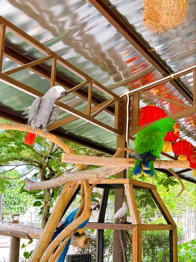 Nature and Family Fun at Bentong Farm