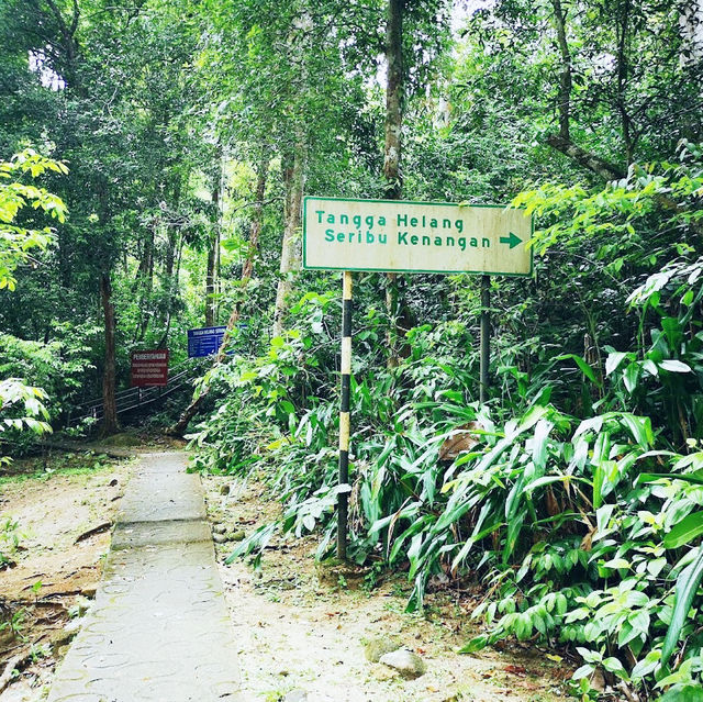 Thousand Memories Eagle Stairs Tangga Helang Seribu Kenangan