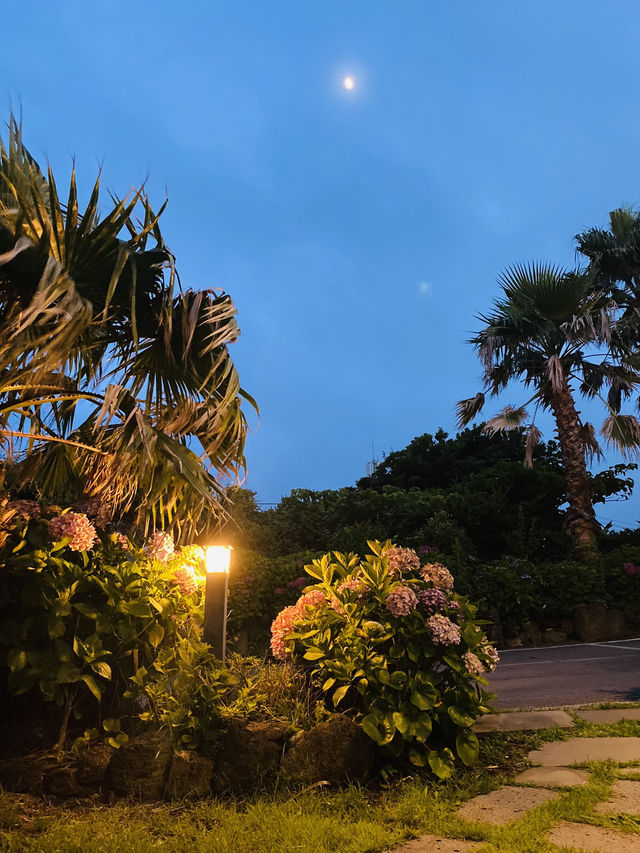 Rainy day in Jeju