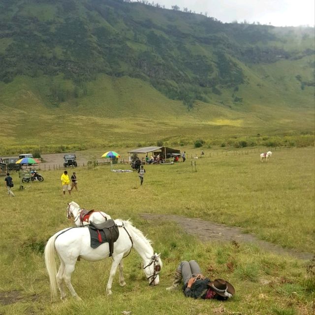 GRASSLANDS OF SAVANNAH HILLS 