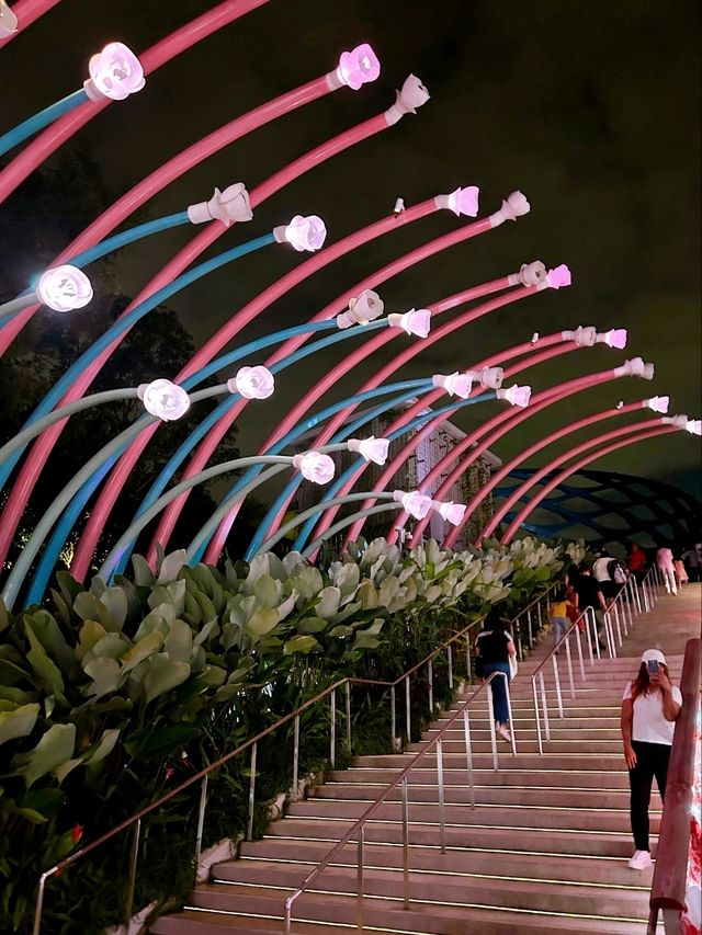 Stunning Light Show Sentosa Sensoryscape