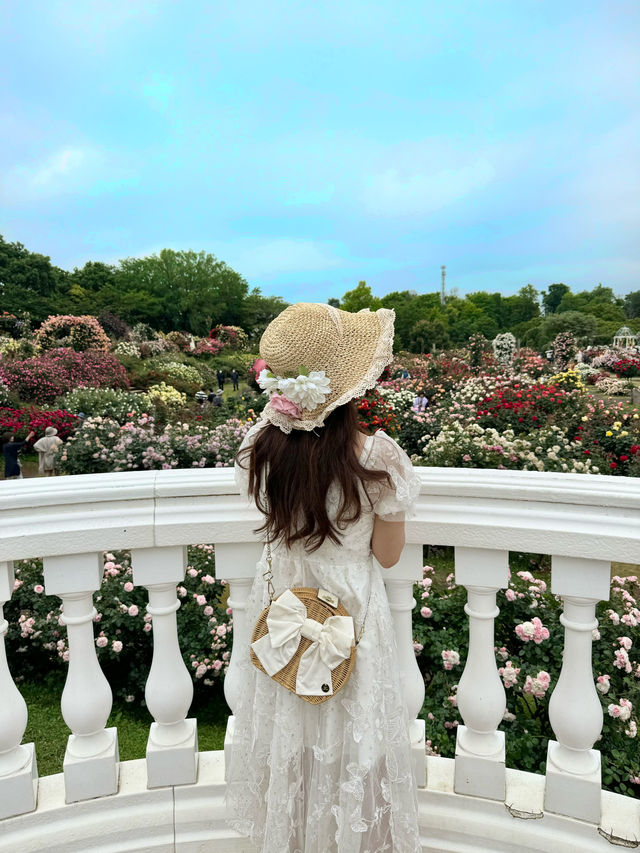 まるで本物？京成バラ園のバラアイス🌹🍨