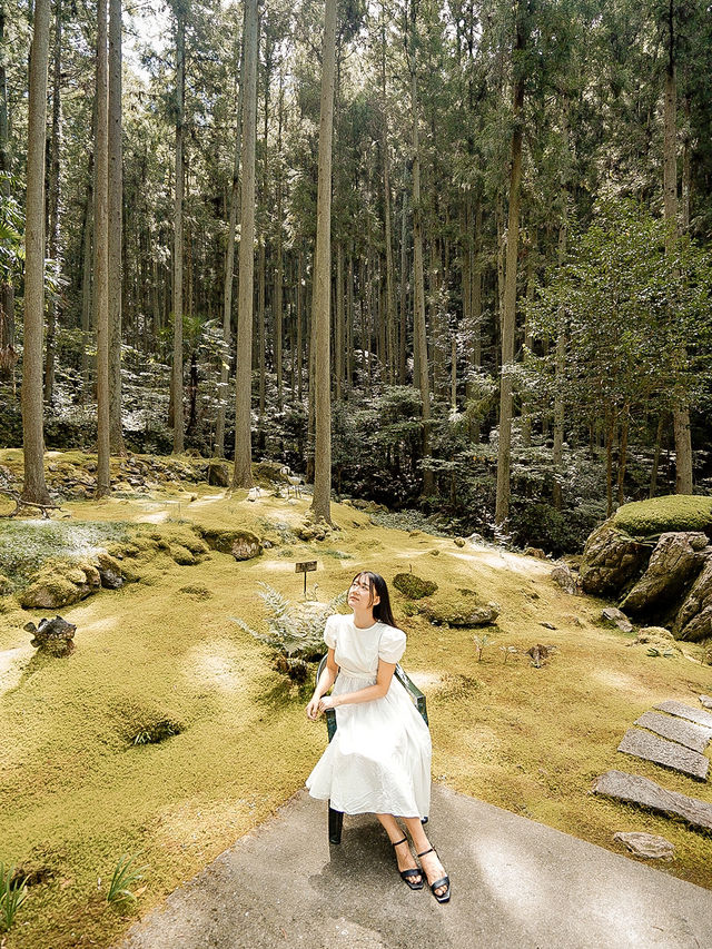 📍ギャラリー喫茶 苔筵