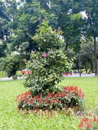 Greenery Shenzhen Zhongshan Park 