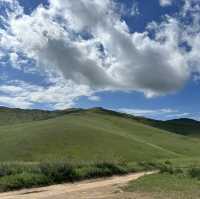 Hustai Highlights - Embracing Mongolia's Untamed Beauty