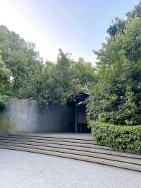 Peaceful Escape in Shanghai People's Park