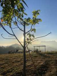 ฮาดู่บิ แคมป์ปิ้ง | จ.เชียงใหม่ ⛺️⛰️☀️🌳