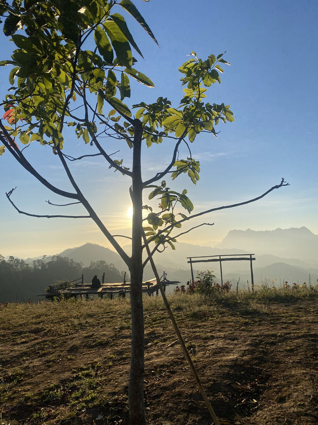 ฮาดู่บิ แคมป์ปิ้ง | จ.เชียงใหม่ ⛺️⛰️☀️🌳