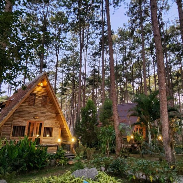 สวนป่าดอยบ่อหลวง 🌿