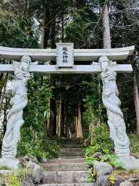 【穴場】鳥居に巻き付く二体の龍が超レアで大迫力❗️辰年を締めくくるご利益を授かれそうなパワスポ神社✨