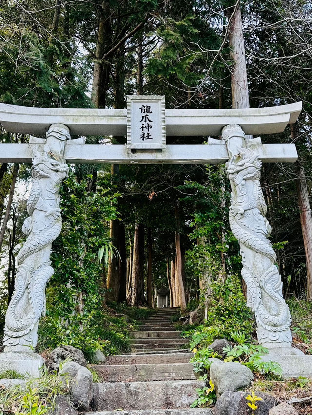 【穴場】鳥居に巻き付く二体の龍が超レアで大迫力❗️辰年を締めくくるご利益を授かれそうなパワスポ神社✨