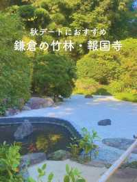 【秋のでーとにぴったり🍂のんびり歩きたい報国寺🎋】