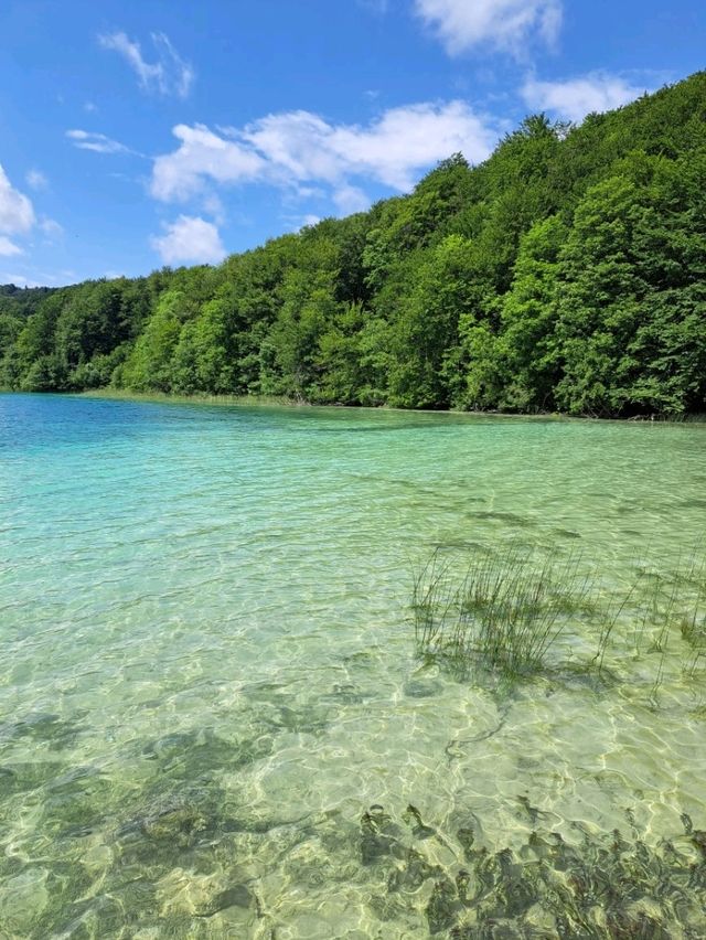 【プリトヴィツェ湖群国立公園:クロアチア】美しい自然に溢れている自然豊かな国立公園✨