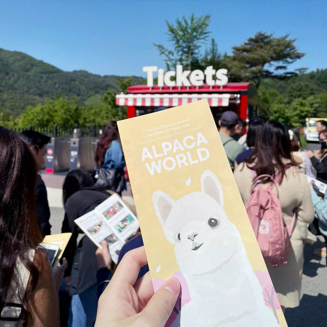 Journey to Tranquility: Explore Nami Island, Ride the Rails, and Meet Alpacas!