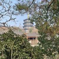 Exploring Serenity: A Journey Through Hangzhou’s West Lake