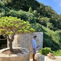 경치 구경하기 좋은 매미성 🌴