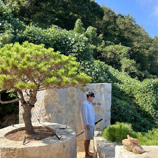 경치 구경하기 좋은 매미성 🌴
