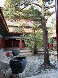 Autumn in the Forbidden City: A Journey Through History and Beauty 